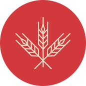 Ingredientes Ecológicos